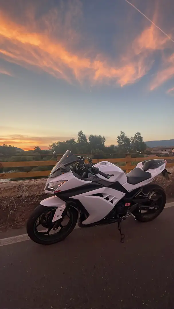 Kawasaki Ninja 300 ABS - 2