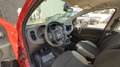 Fiat Panda Panda 1.0 firefly hybrid s Rouge - thumbnail 9