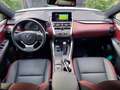 Lexus NX 300h NX 300h White - thumbnail 15