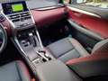 Lexus NX 300h NX 300h Bianco - thumbnail 14