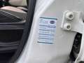 Fiat 500L 500L 2015 1.3 mjt Trekking 85cv Weiß - thumbnail 14