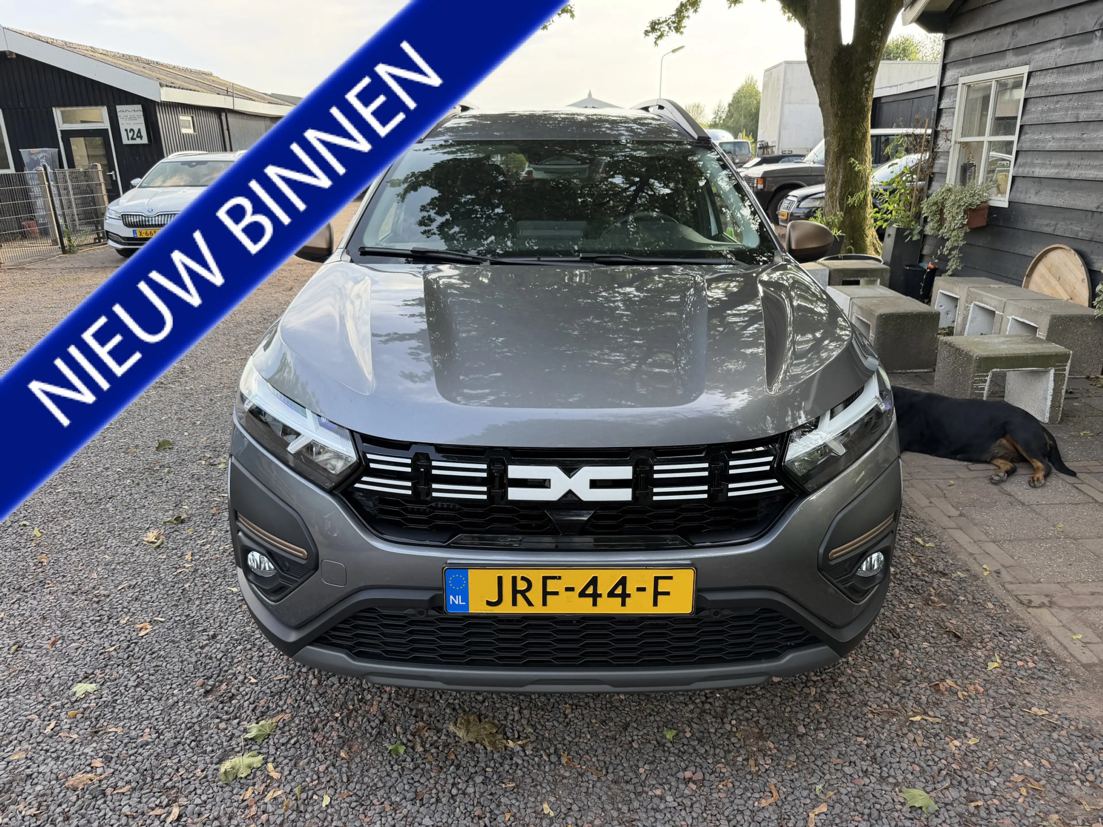 Dacia Jogger 1.0 TCe 100 ECO-G Extreme 5p. CAM|PDC|CARPLAY — photo 2