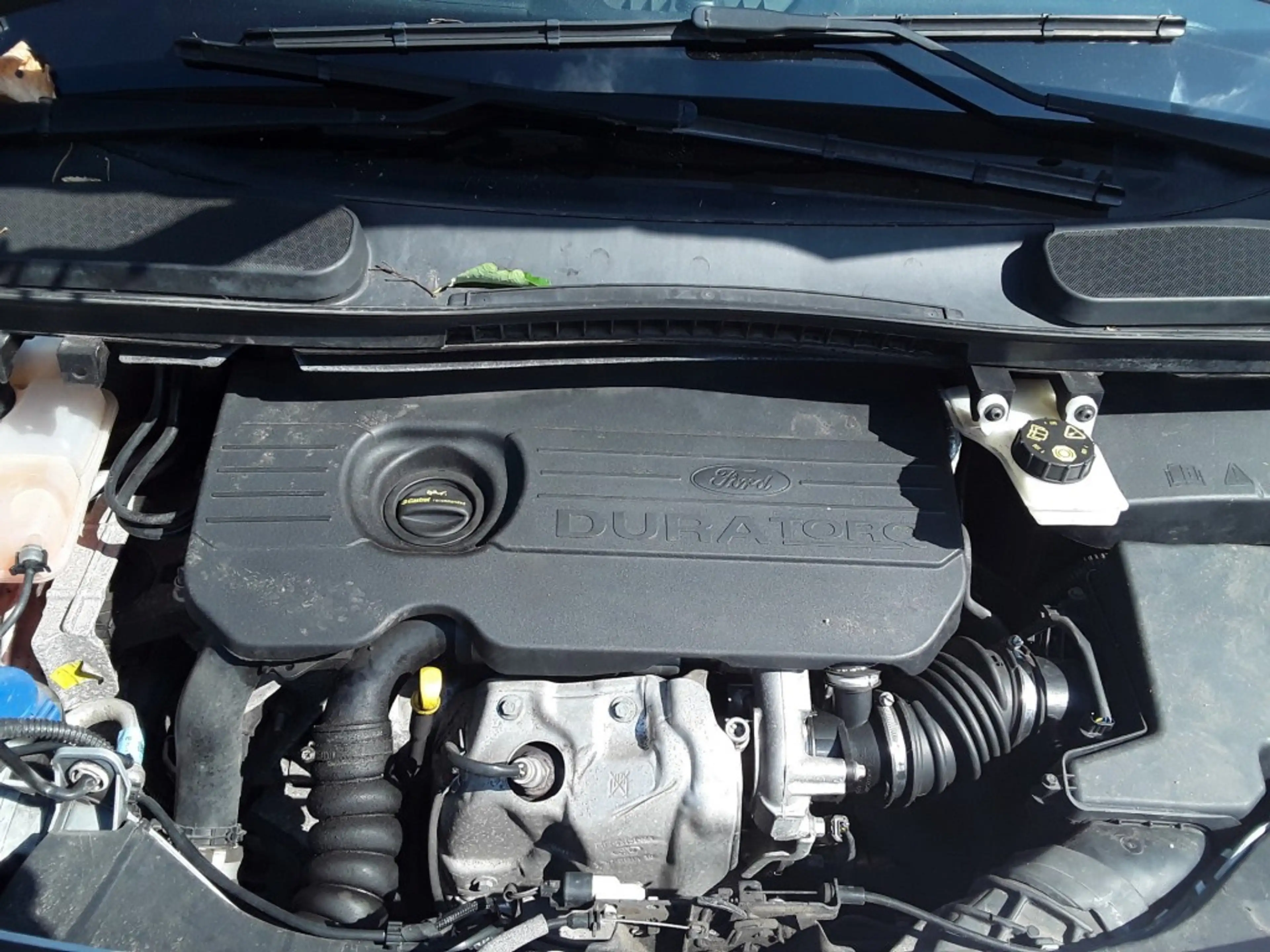 Ford Transit Connect 1.5 TDCI L1 TREND — photo 11