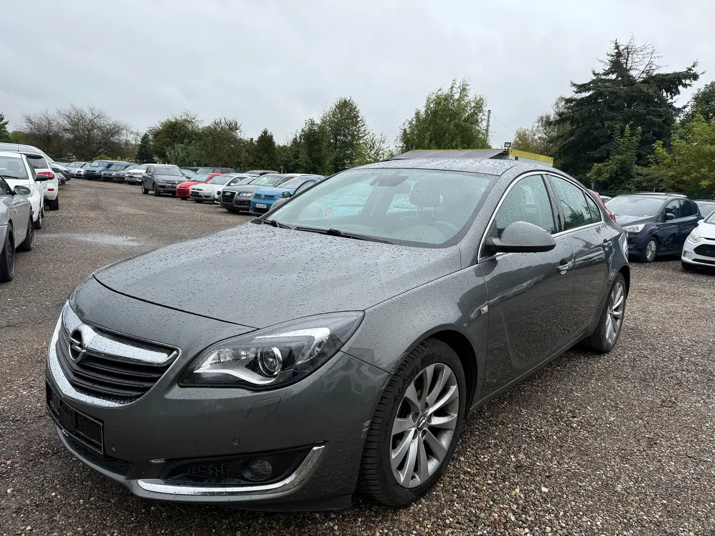Opel Insignia Business Innovation Grau - 1