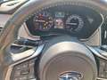 Subaru OUTBACK 2.5i Platinum Lineartronic. 1.Hd Grau - thumbnail 14