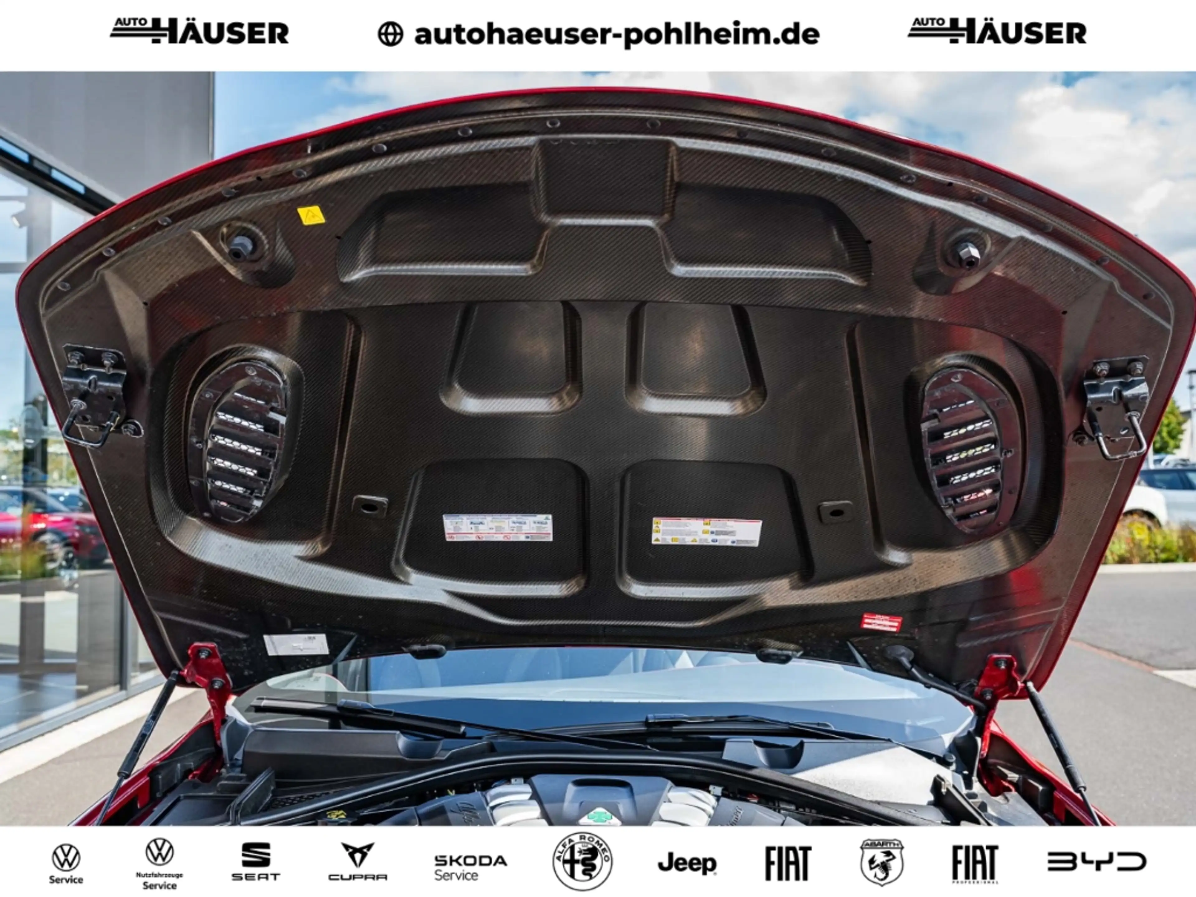 Alfa Romeo Giulia Quadrifoglio HARMAN-KARDON BI-XENON NAVI — photo 10