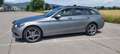 Mercedes-Benz 200 Bluetec  TModell Grau - thumbnail 3