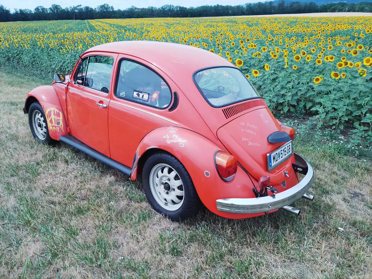 Volkswagen Käfer Limousine, foto 4