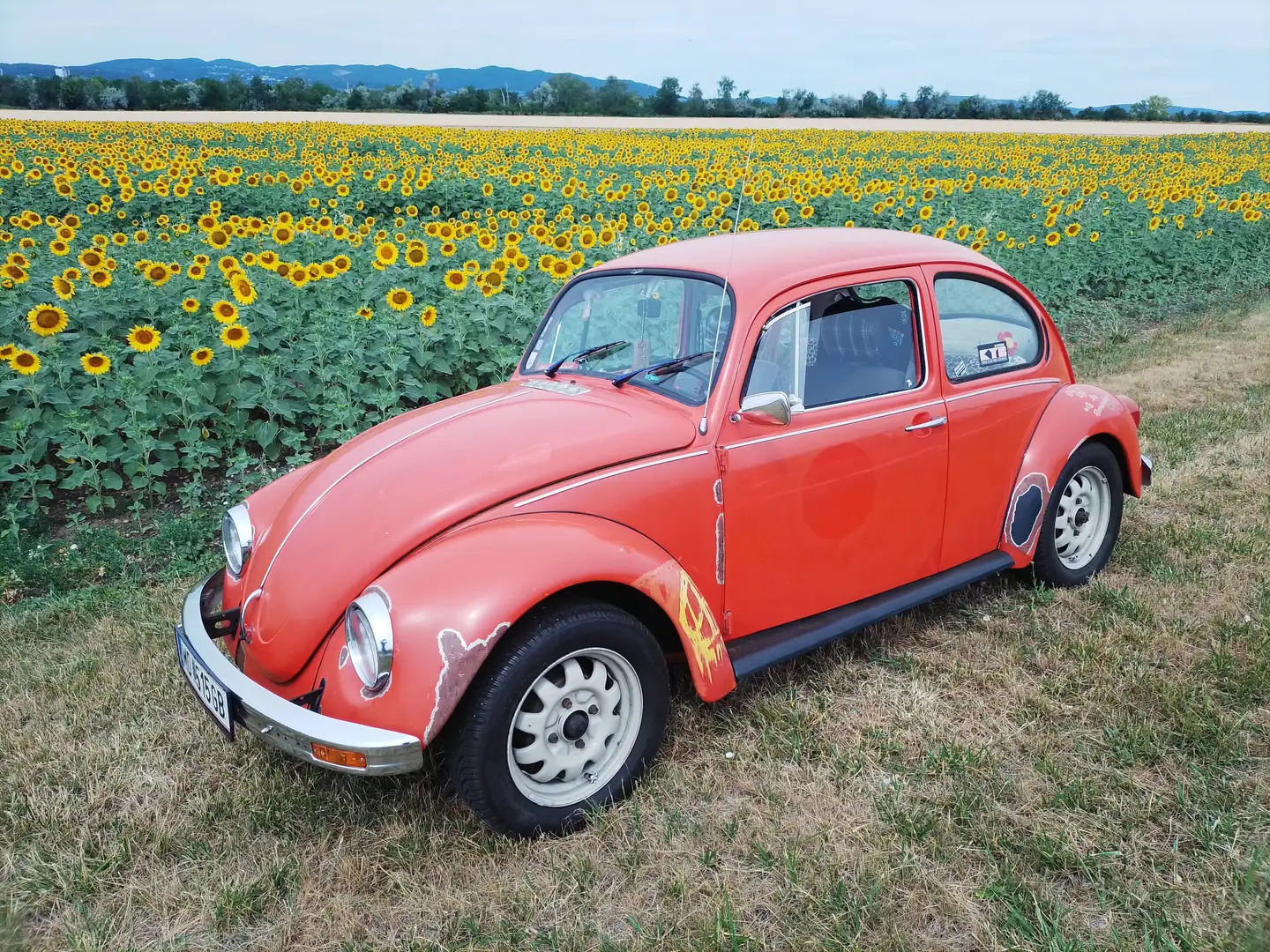 Volkswagen Käfer Limousine Orange - 2