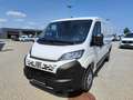 Fiat Ducato Ducato 30 L2H1 BlueHDi 120 S&S Weiß - thumbnail 1