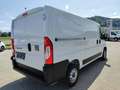 Fiat Ducato Ducato 30 L2H1 BlueHDi 120 S&S Weiß - thumbnail 5