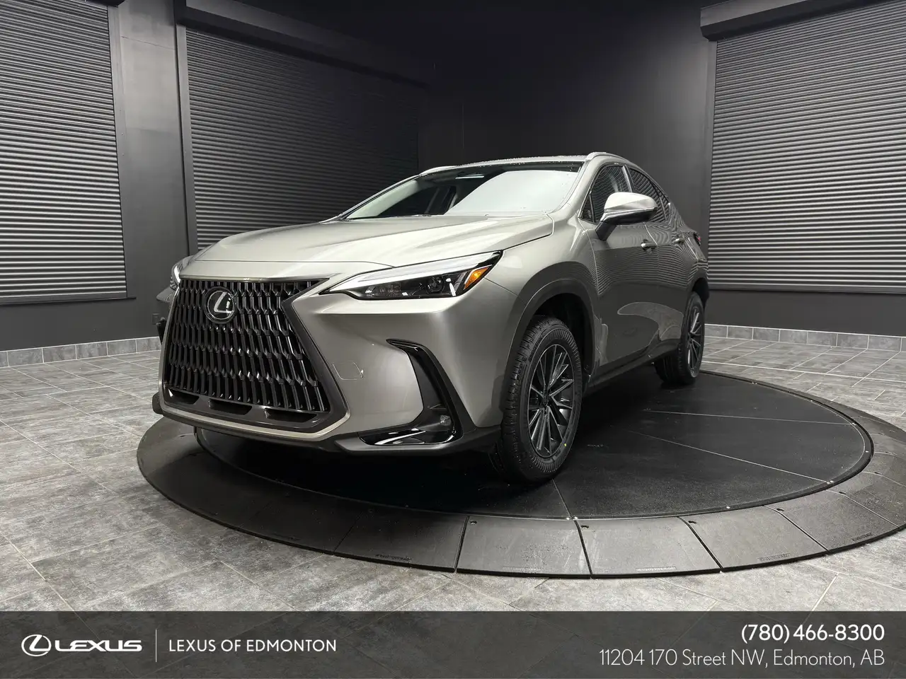 2026 Lexus NX photo 2026 Lexus NX