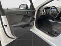 BMW 116 i Advantage,LED Scheinwerfer,Navi,etc. Wit - thumbnail 10