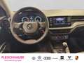 Skoda Fabia Active 1.0 TSI LED+PDC+SmartLink+SHZ+Klima Grau - thumbnail 14