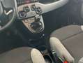 Fiat Panda Cross 1.0 Hybrid 51kw (70CV) Negro - thumbnail 14