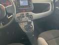 Fiat Panda Cross 1.0 Hybrid 51kw (70CV) Negro - thumbnail 20