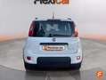 Fiat Panda City Life Hybrid 1.0 Gse 51kw (70CV) Weiß - thumbnail 5