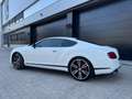 Bentley Continental GT 4.0 V8S - PRACHTIGE SAMENSTELLING! bijela - thumbnail 3