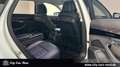 Audi A8 L 50 TDI quattro STD.HZ+MATRIX+360°+PANO+B&O Weiß - thumbnail 28