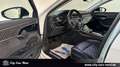 Audi A8 L 50 TDI quattro STD.HZ+MATRIX+360°+PANO+B&O Weiß - thumbnail 9