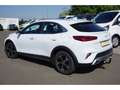 Kia XCeed 1.6 PlugiHyb.-LED-ab.AHK-Sihz-Tempo-PDCCam- Weiß - thumbnail 2