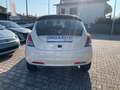 Lancia Ypsilon 1.0 FireFly 5 porte Hybrid Platino Bianco - thumbnail 6