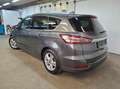 Ford S-Max 2.0 EcoBlue Titanium Aut. AHK, ACC, LED, W-Paket Grau - thumbnail 3