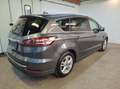Ford S-Max 2.0 EcoBlue Titanium Aut. AHK, ACC, LED, W-Paket Grau - thumbnail 4