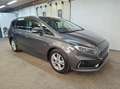 Ford S-Max 2.0 EcoBlue Titanium Aut. AHK, ACC, LED, W-Paket Grau - thumbnail 6