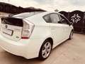 Toyota Prius Prius III 2009 1.8 hsd Executive Bianco - thumbnail 9