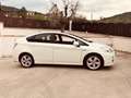 Toyota Prius Prius III 2009 1.8 hsd Executive Bianco - thumbnail 1