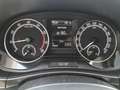 Skoda Fabia 1.0 Style MONTE CARLO DSG *SHZ*TEMPOMAT* Weiß - thumbnail 11