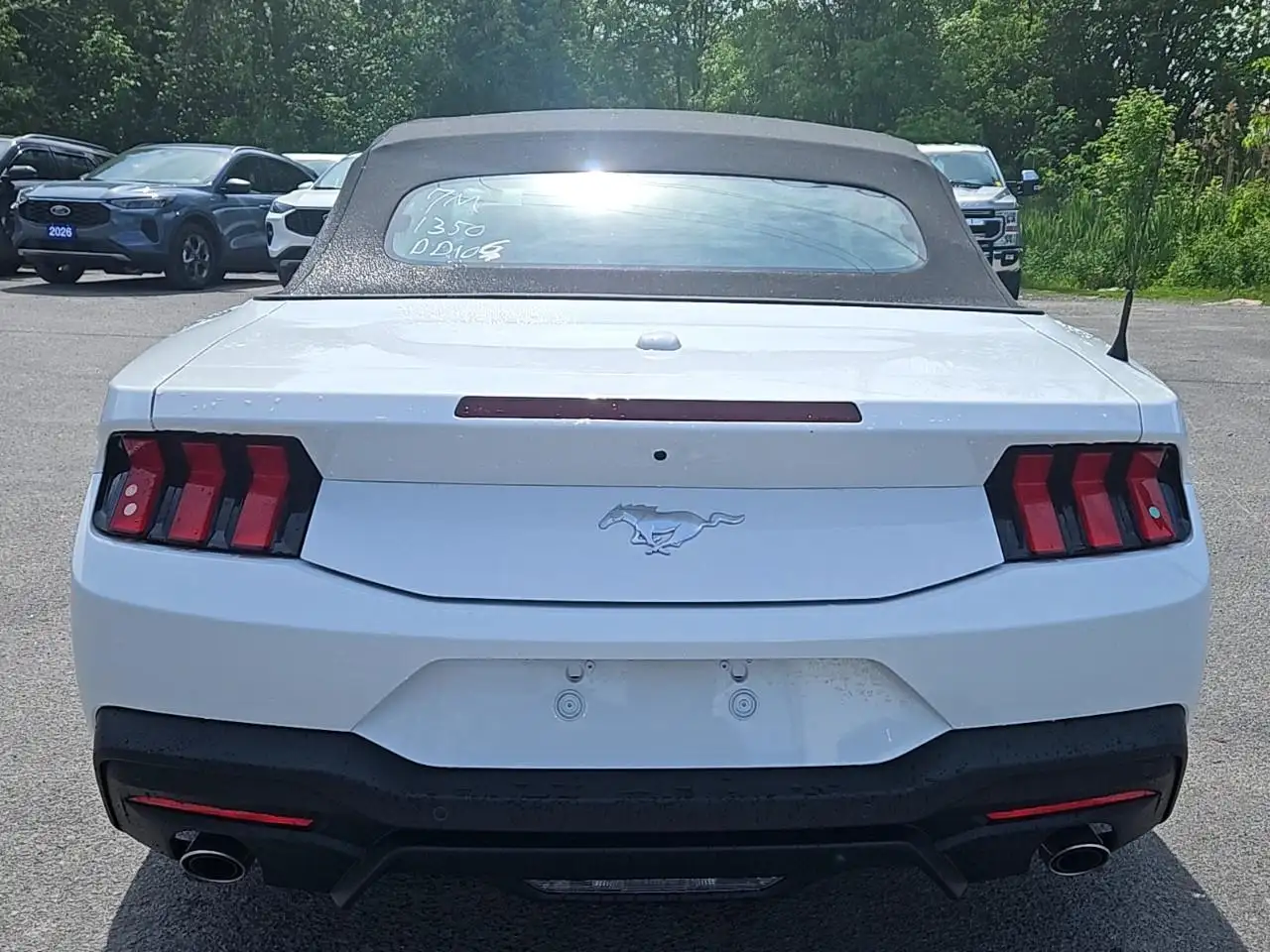 Ford Mustang снимка Ford Mustang