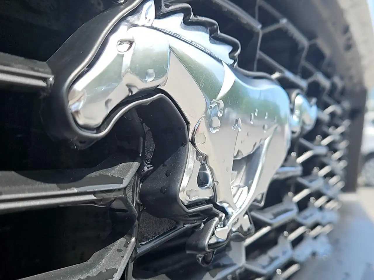 Ford Mustang снимка Ford Mustang