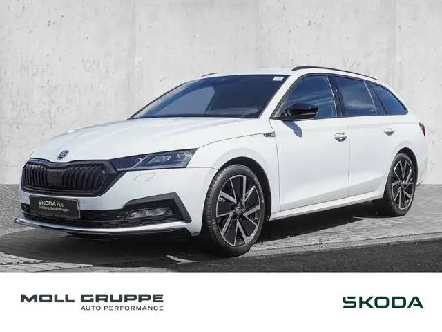2023 Skoda Octavia in White for sale