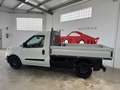 Fiat Dobló Work Up 1.3Mjt 70kW Blanco - thumbnail 8