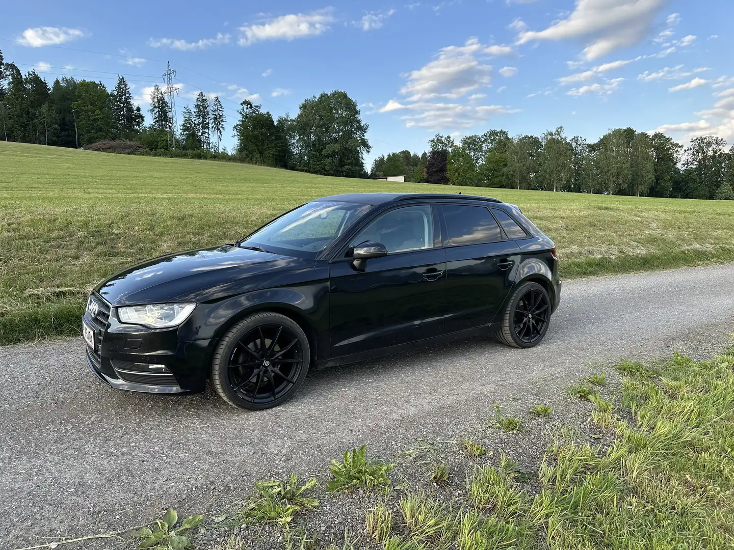 Audi A3 SB Daylight 2,0 TDI Quattro (Pickerl 06/2027) - 1