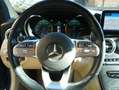 Mercedes-Benz C 300 (2000cc.) d Coupe AMG 4matic auto Full Opt. !!! Blu/Azzurro - thumbnail 11