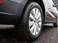 SEAT Arona 1.0 TSI Style Navi/RFK/LED Grau - thumbnail 5