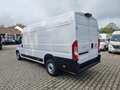 Fiat Ducato Maxi 35 L5H2 140 M-Jet!  AT| Serie 9 | M... Bianco - thumbnail 3