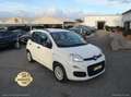 Fiat Panda 1.2 EasyPower Lounge GPL PROMO WEB Weiß - thumbnail 1