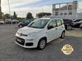Fiat Panda 1.2 EasyPower Lounge GPL PROMO WEB Weiß - thumbnail 4