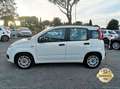 Fiat Panda 1.2 EasyPower Lounge GPL PROMO WEB Weiß - thumbnail 35
