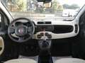 Fiat Panda 1.2 EasyPower Lounge GPL PROMO WEB Bianco - thumbnail 5