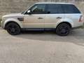 Land Rover Range Rover Sport 3.0 tdV6 HSE auto Bronzo - thumbnail 3