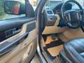 Land Rover Range Rover Sport 3.0 tdV6 HSE auto Bronzo - thumbnail 5