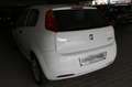 Fiat Grande Punto 1.2 8V Klima, HU, Inspektion neu!!! Weiß - thumbnail 18