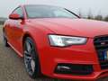Audi A5 Coupé 3.0 TFSI S5 quattro Pro Line /Pano/Leder/B&O Rood - thumbnail 25