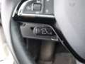Skoda Kamiq 1.0 TSI Style Aut LED SKY AHK RADAR NAVI Weiß - thumbnail 20
