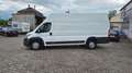 Citroen Jumper Grossraumkasten 35 L4H3 Profi Heavy BlueH Blanc - thumbnail 2